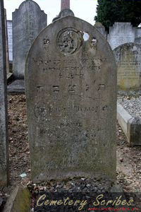 Schneiderman, Katie 1919