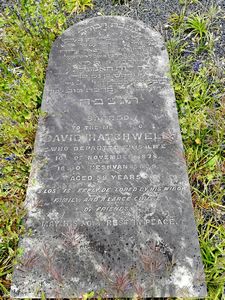 Hatchwell, David