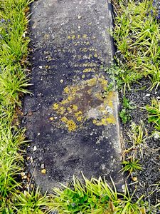 Andrade (DaCosta Andrade), Gentelica (married name)