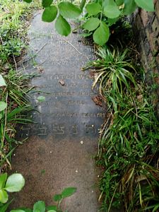 Hatchwell, Mary (nee Cardoza)