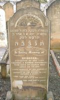 Greenberg, Rebecca