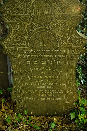 Woolf, Hyman