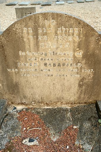 Bebarfald, Dinah