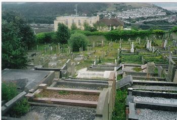 Swansea Jewish Cemetery - general view